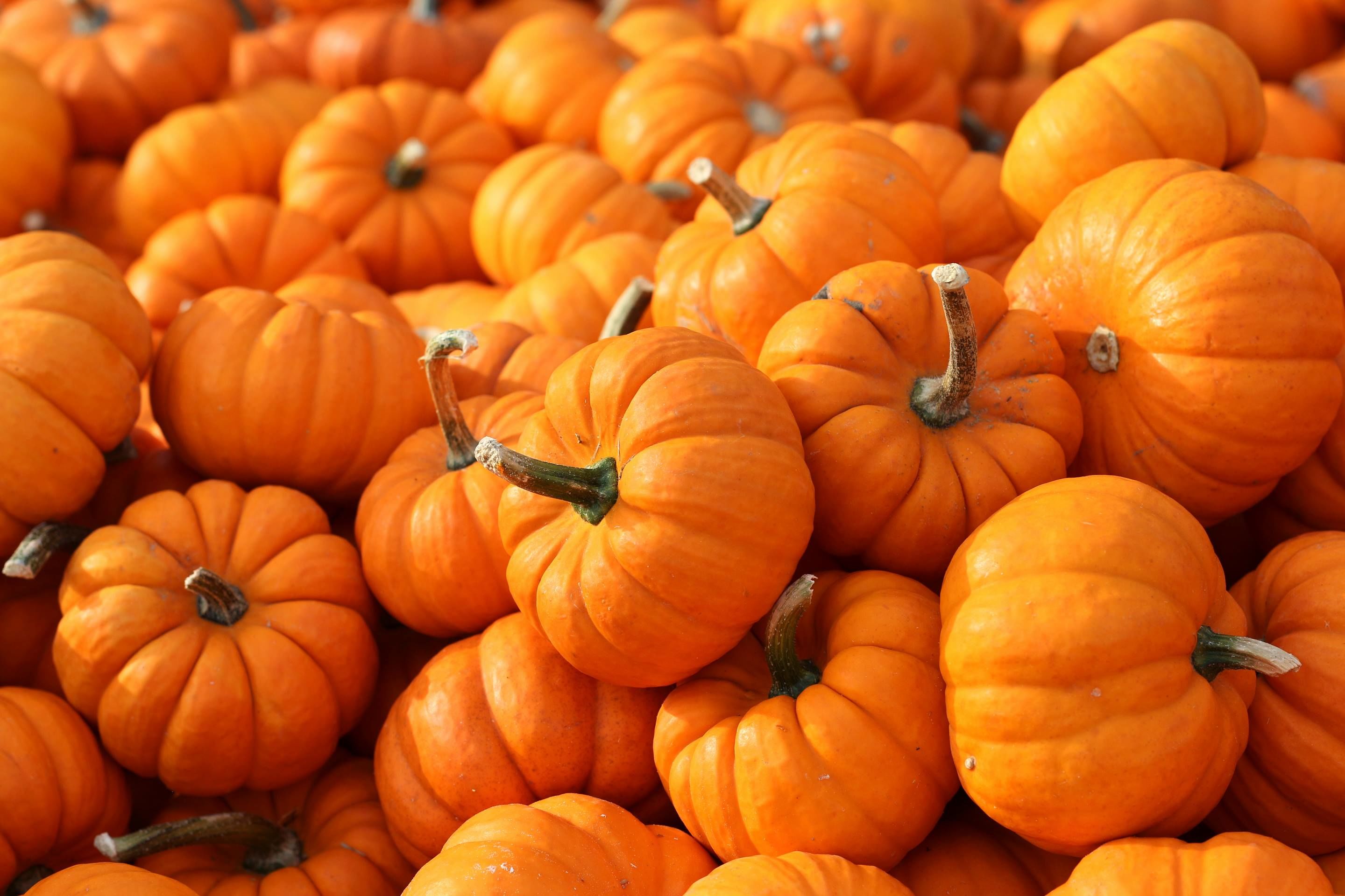 Delicias De Verdura Con Calabaza